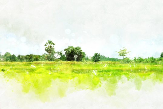 Abstract colorful shape on tree and field landscape in Thailand on watercolor illustration painting background.