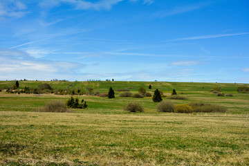 Fototapeta na wymiar Green landscape with blue sky