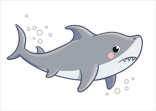 Cute sad shark on a white background. Vector illustration with sea fish