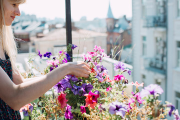 Young woman on a balcony gardening. Colorful flowers in white pots - Powered by Adobe