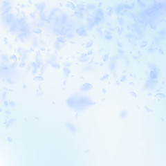 Light blue flower petals falling down. Favorable r