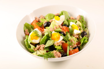 mixed vegetable salad with tomato, egg, tuna and lettuce