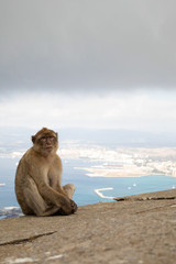 Naklejka premium Relaxed money