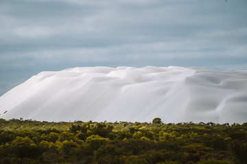 Lancelin sand dunes located north of Perth, Western Australia. Unique patterns on the dunes, with a moody overcast sky in the background and dense trees in the foreground. 