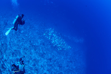 Obraz premium Palau_Peleliu_Scuba nurkowanie