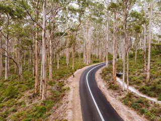 Fototapeta na wymiar Aerial drone perspective of a trail going through Boranup Forest in Margaret River, Perth, Australia. 