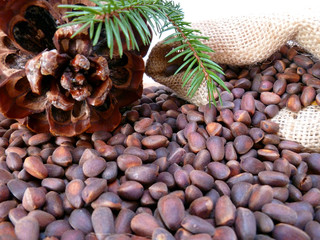 Fototapeta premium Pine cone and Siberian cedar nuts in the burlap bag. Closeup of pignolia nuts and cedar cones. Healthy food concept. Selective focus.