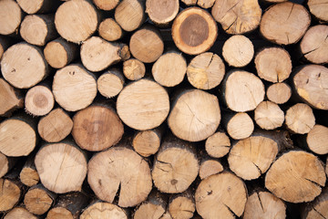 Sharpening a chainsaw Close up on a man sharpening a chainsaw chain with file.