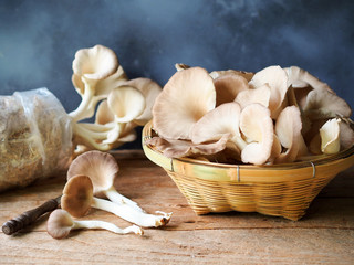 Indian oyster or lung oyster mushroom in bamboo basket on a rustic wooden table. © pada smith