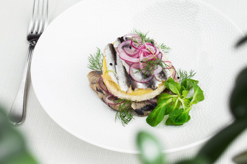 Appetizer food, salted herring, butter and red onion on white plate. Selective focus. Horizontal view from above, top shot. White background.