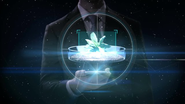 Businessman click smartphone, young plant with root above petri dish with soil. Biotechnology, Smart agriculture, plant care and protection concept, 4k animation.