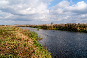 Narwiański Park Narodowy, Bokiny, Podlasie, Polska