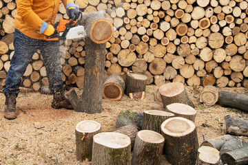 Chainsaw in action cutting wood. Man cutting wood with saw, dust and movements. Chainsaw. Close-up of woodcutter sawing chain saw in motion, sawdust fly to sides.