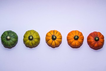 isolated gradient color line of pumpkins on a white background