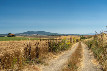 Country road from Capalbio to Tarquinia