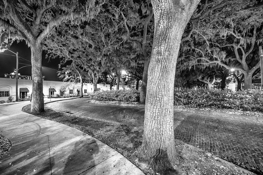 Savannah Emmet Park at night, Georgia
