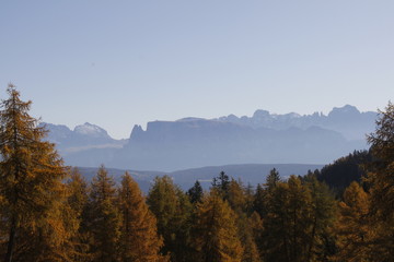 Panoramabild von Schlern in Südtirol