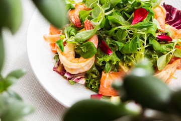 Healthy Salad. Recipe for fresh seafood. Grilled shrimps, prawns, fresh salad lettuce and avocado slices. Healthy Eating. White background. Horizontal photo.