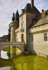 Fototapeta na wymiar the castle of Sully Sur Loire