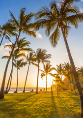 Obraz na płótnie Canvas palm trees on the beach at sunset, Réunion Island 
