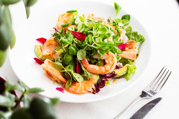 Healthy Salad. Recipe for fresh seafood. Grilled shrimps, prawns, fresh salad lettuce and avocado slices. Healthy Eating. White background. Horizontal photo.