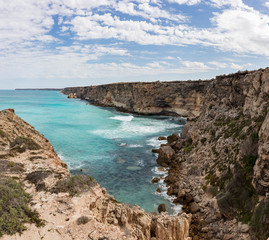Fototapeta na wymiar View of the cliffs at the Great Australian Bight