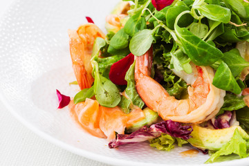 Healthy Salad. Recipe for fresh seafood. Grilled shrimps, prawns, fresh salad lettuce and avocado slices. Healthy Eating. White background. Horizontal photo.