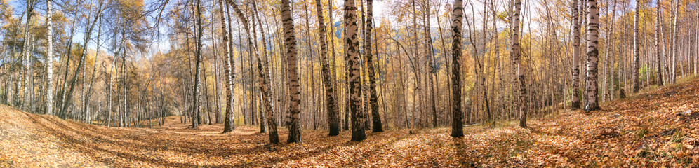 Obraz premium Allphotokz Kok Zhailau 20081009 9936 5D