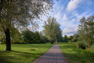 Fototapeta na wymiar walking path in the park