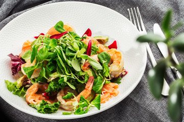 Healthy Salad. Recipe for fresh seafood. Grilled shrimps, prawns, fresh salad lettuce and avocado slices. Healthy Eating. White background. Horizontal photo.