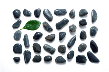 green leaf and black stones isolated on white background