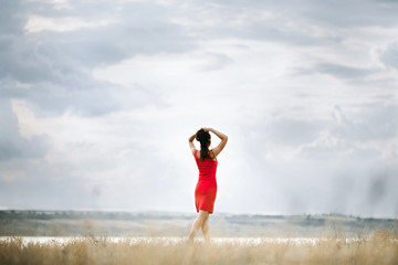 Back view of a girl dressed in a red dress, which is standing on the grass and looking on the beautiful lanscape