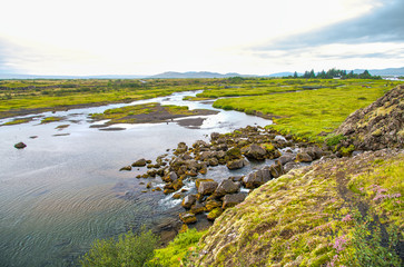 Thingvellir National Park, Iceland. River and vegetation