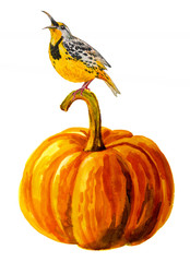 Halloween pumpkin with bird on white. Holidays watercolor illustration - 295047349