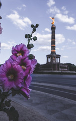 Sieggess&auml;ule im Fr&uuml;hling