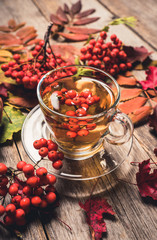 Hot tea in glass cup with rowan and atmospheric autumn decorations. Selective focus. Shallow depth of field.