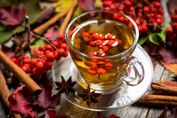 Hot tea in glass cup with rowan and atmospheric autumn decorations. Selective focus. Shallow depth of field.