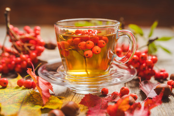 Hot tea in glass cup with rowan and atmospheric autumn decorations. Selective focus. Shallow depth of field.