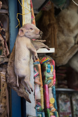 Witches Market Piglet
