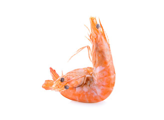 Two prawns isolated on a white background