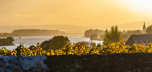 Rhein bei Eltville Sonnenuntergang 2