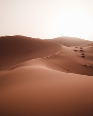 zandduinen in de Saharawoestijn, Marokko
