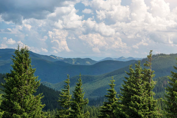 Fototapeta na wymiar Summer landscape in the Carpathian mountains. View from the mountain peak Hoverla. Ukrainian mountain Carpathian Hoverla, view from the top.