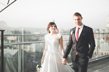 Naklejka premium Stylish beautiful wedding couple kissing and hugging on background panoramic view of the old town