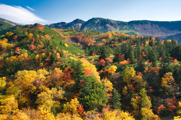 十勝岳温泉の紅葉