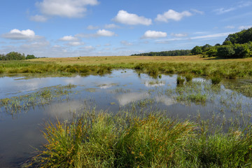 Landscape with a pond on the countryside in Denmark