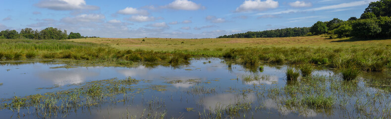 Landscape with a pond on the countryside in Denmark