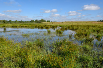 Landscape with a pond on the countryside in Denmark