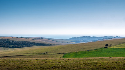 Fototapeta na wymiar The South Downs, East Sussex, England. The landscape and countryside of the British south coast looking out towards the coast and the English Channel.