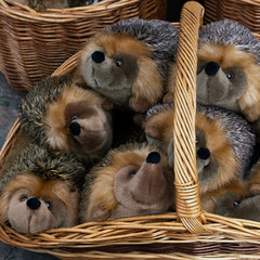 plush hedgehogs in a wicker basket outside. sale of soft toys